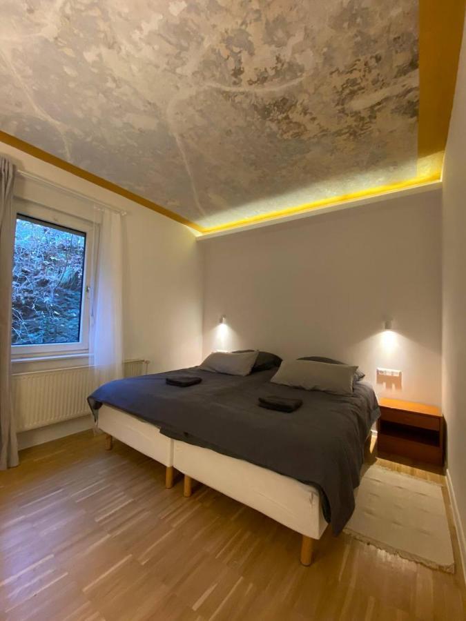 Ferienhaus Art Apartment - Harz Zorge Exterior foto