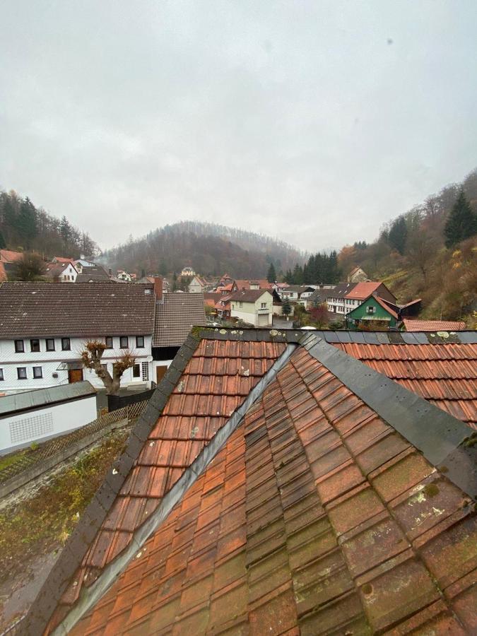 Ferienhaus Art Apartment - Harz Zorge Exterior foto