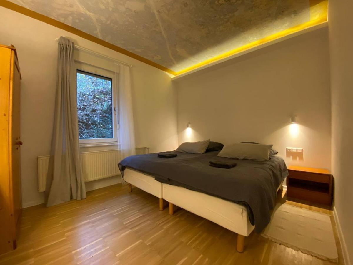 Ferienhaus Art Apartment - Harz Zorge Exterior foto